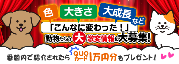 坂上どうぶつ王国　皆さんのペット・周りの動物たちの大激変情報を大募集！