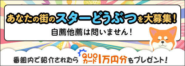 坂上どうぶつ王国　全国のスターどうぶつを大募集